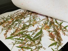 -森野花艺培训·企业团建活动沙龙