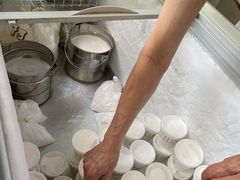 -洪馨椰子