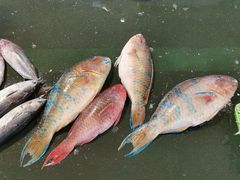 -海峡水产品交易中心(海鲜交易区)