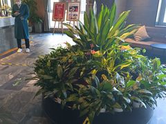 -大鸭梨烤鸭(枣园店)