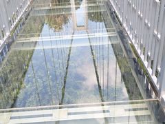 -石燕湖生态旅游景区