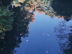 -西溪国家湿地公园-西溪天堂正门停车场