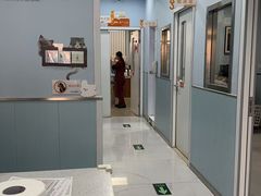 -纳吉亚猫专科动物诊疗中心(蒋宅口分院)