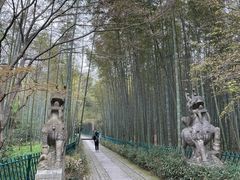 -云栖竹径