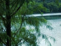 -水濂山森林公园