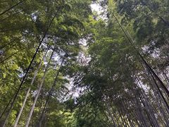 -敬亭山风景名胜区