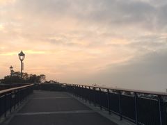 -金鸡山公园
