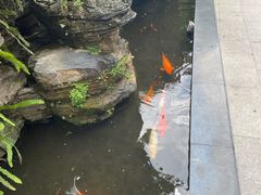 -佛山顺德香云纱园林酒店(清晖园店)