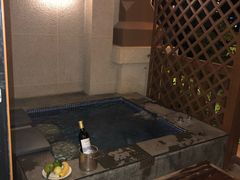 -碧桂园润杨溪谷温泉酒店