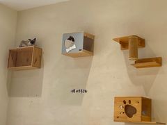 -藏猫猫咖啡主题馆(中央大道店)