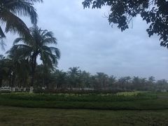 -海口站