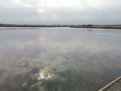 -盐城丹顶鹤湿地生态旅游区