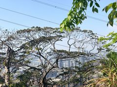 -小南山公园