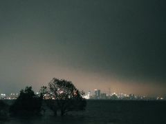-深圳湾公园(南山区)