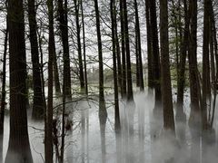 -东湖落雁景区