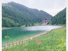 -武陵山森林公园