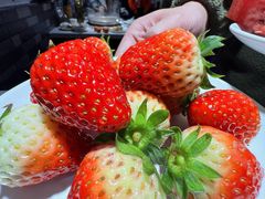 -蛙蛙鸡冷锅鱼(驷马桥店)