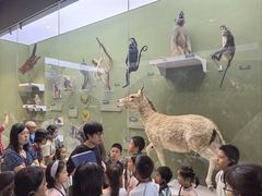 -国家自然博物馆