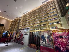 -深影国际影城(学院南路店CGS中国巨幕店)