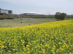 -河南财经政法大学(郑东校区)