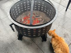 -侨美·唐荔园·40年地道粤菜