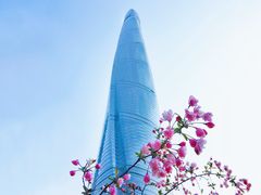 -上海中心大厦