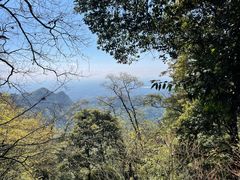 -青城山