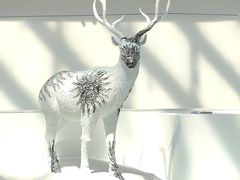 -中国湿地博物馆