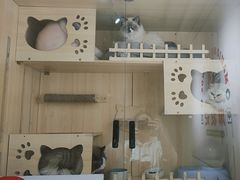 -麻友记·24h自助棋牌(金融科贸店)