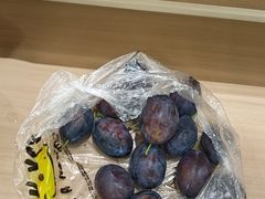 -松州古城