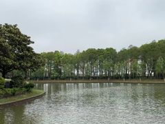 -上海鲜花港