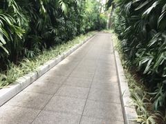 -广州中山纪念堂