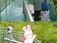 -陶祖圣境风景区