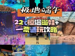 -海合安武汉极地海洋公园