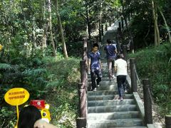 -田心森林公园