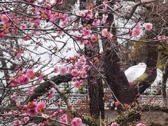 -广东温泉宾馆