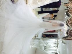 点击看大图 艾米丽新娘造型-艾米丽婚纱礼服