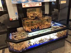 -蟹道乐(道顿堀本店)
