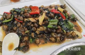 Spicy Mountain Snail