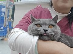 -瑞鹏宠物医院·微创内窥镜·骨外科·牙科(翠竹分院)