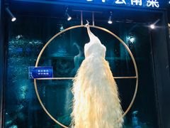 -雀舞云南菜(乐客城店)