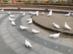 -南宫五洲植物乐园