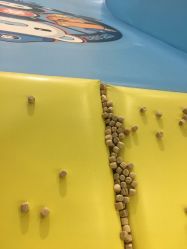 -万达宝贝王(上海浦江店)