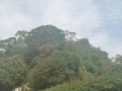 -白云山风景名胜区