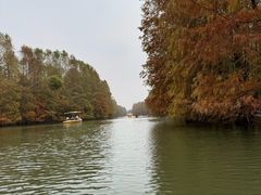 -上海海湾国家森林公园