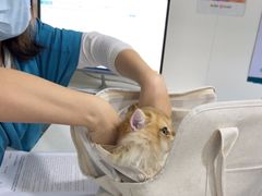 -佳雯宠物医院·皮肤科·内外科(春晓路分院)