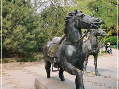 -元大都城垣遗址公园