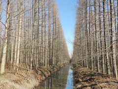 -东平国家森林公园
