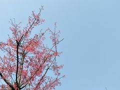 -石峰公园