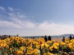-青岛第二海水浴场